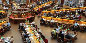 Nachhaltige Studiengänge