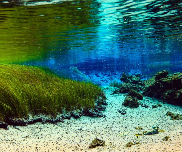 Seachem MatrixCarbon Aktivkohle 1 Liter – Für Meer- & Süßwasser-Aquarien, Kugelförmig Für Optimale Filterung